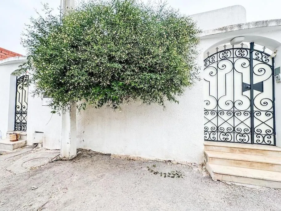 Maison Traditionnelle Unique Le Bardo Tunisia